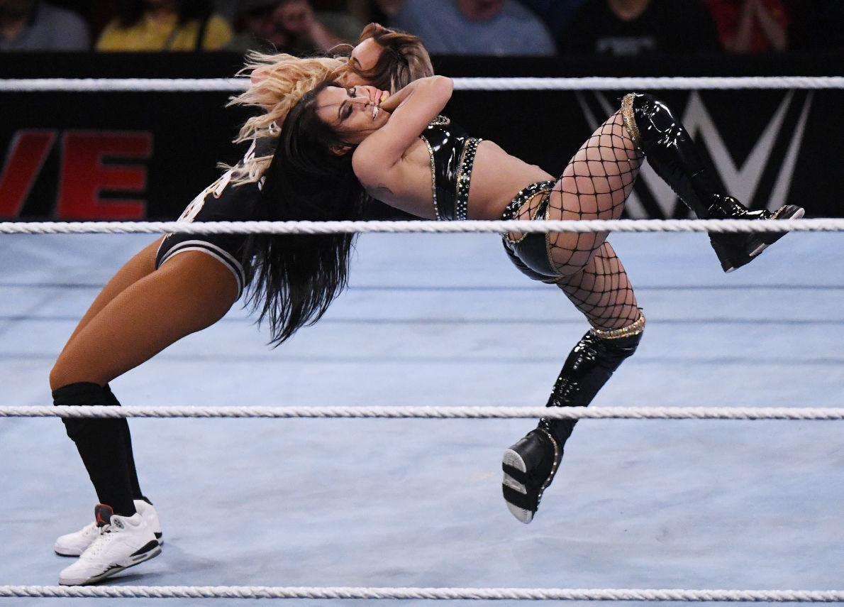 WWE at Reed Arena